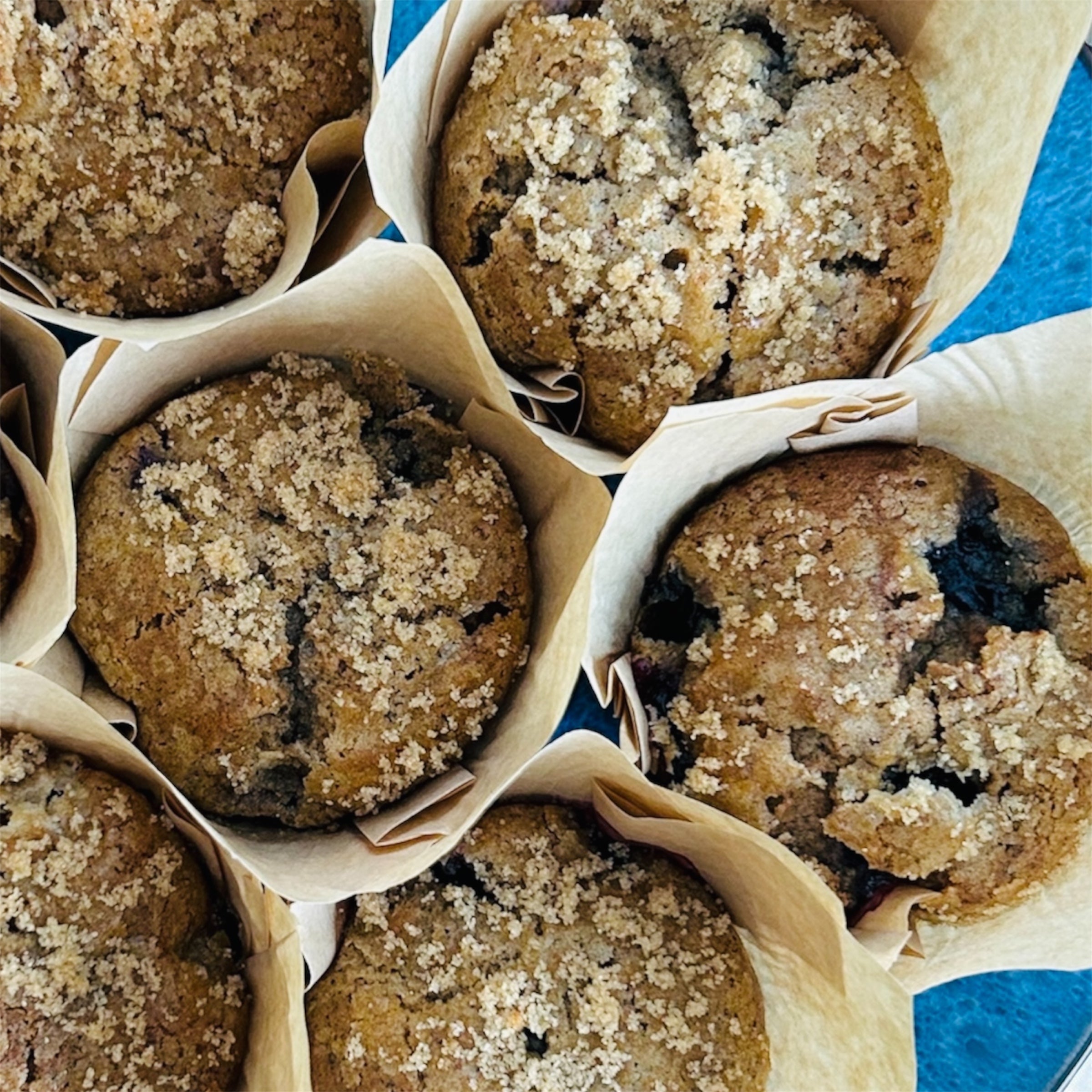 Morning Muffins (6)